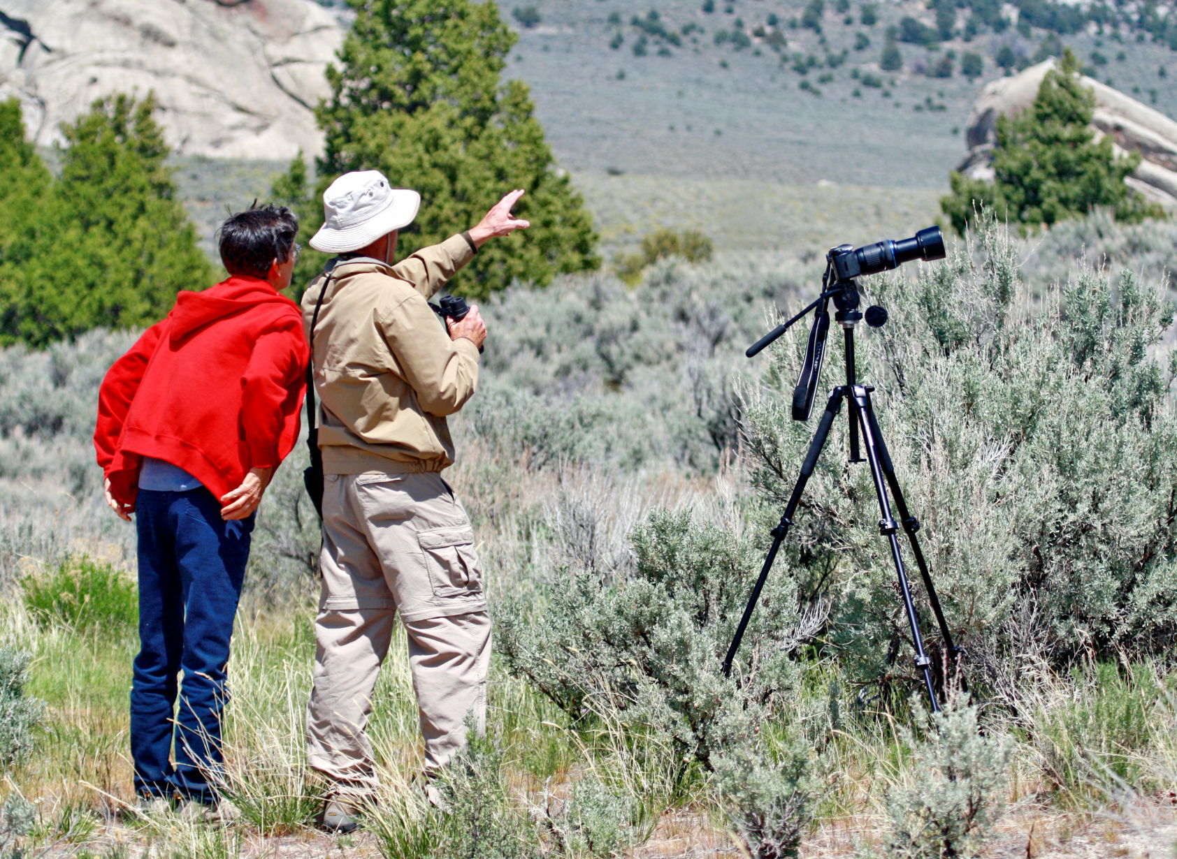 Birders hard at work